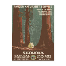 Sequoias nationalpark Vintage resor Poster