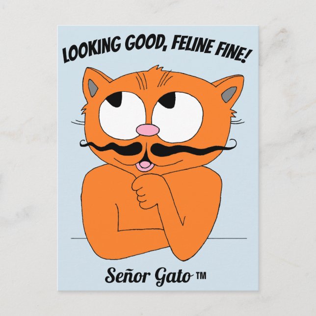 "SER BRA UT, KATTFIN!" Söt Mustasch Katt Vykort (Framsida)