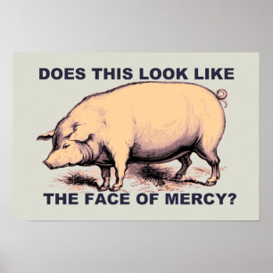 Ser det här ut som Ansikte i Mercy? Grumpy Gris Poster