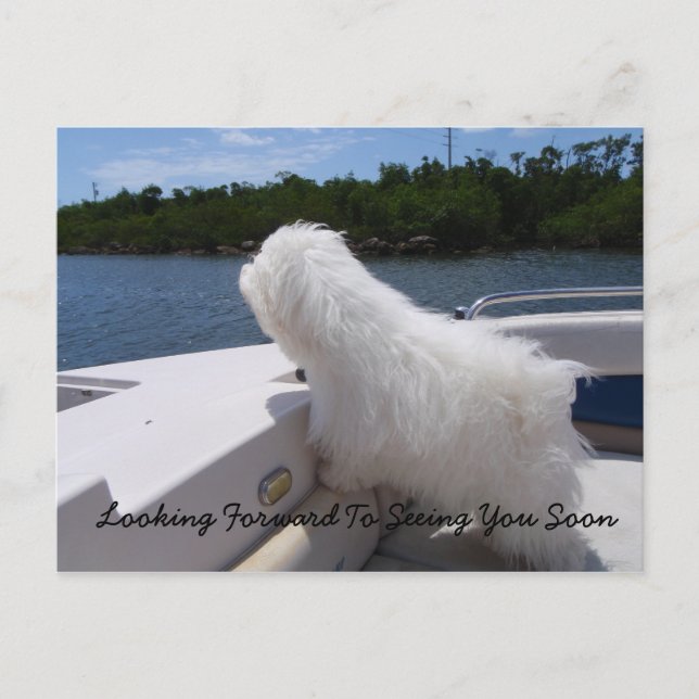 Ser Fram Emot Att Se Dig Snart Vykort (Framsida)