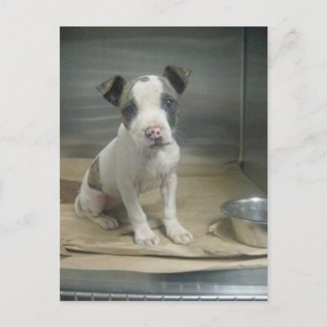 Ser jag elak ut för dig? vykort (Framsida)