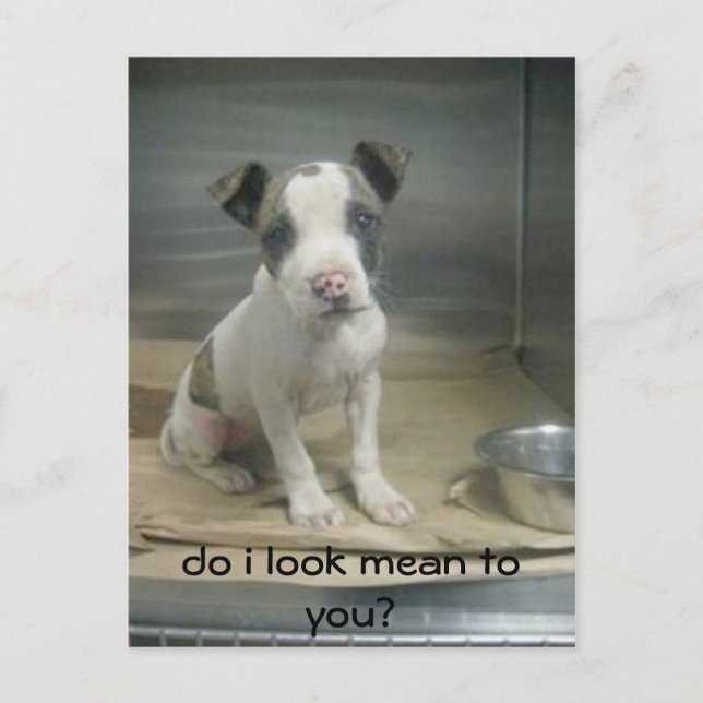 Ser jag elaket på dig? vykort (Framsida)