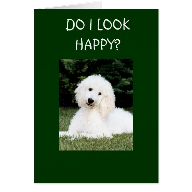 SER JAG LYCKLIG? HÄLSNINGSKORT (Framsidan)