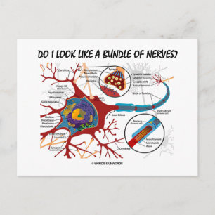 Ser jag ut som en massa nerver? Neuron Synapse Vykort