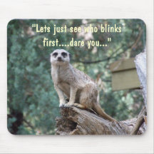 "Ser Lets vem blinkar först.", rolig mousepad.