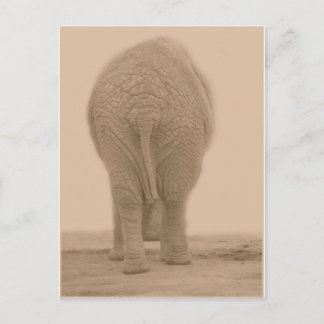 ser mitt bum ut som en stor sepia? vykort