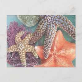 SER STJÄRNOR VYKORT