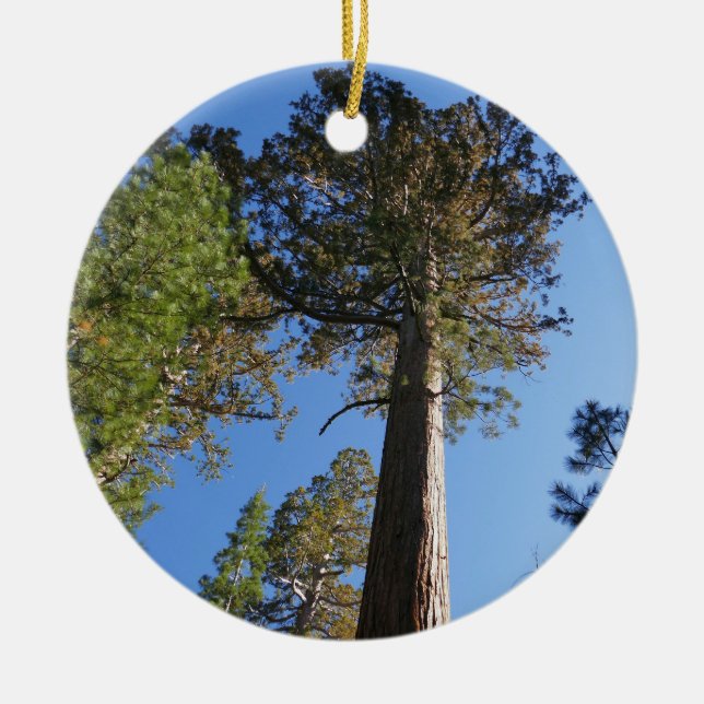 Ser upp mot Mariposa Grove Julgransprydnad Keramik (Framsidan)