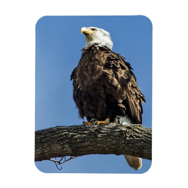 Ser uppåt magnet (Vertikal)