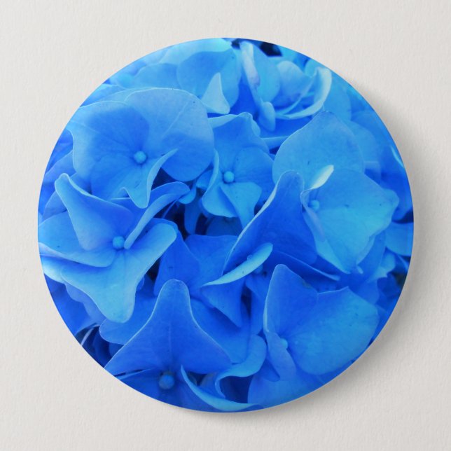 Serafin Knapp (Framsida)