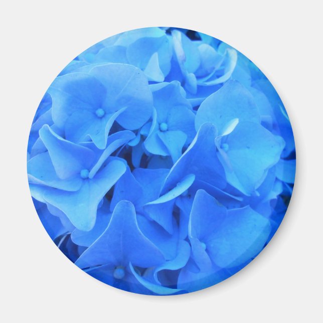 Serafin Magnet (Framsidan)