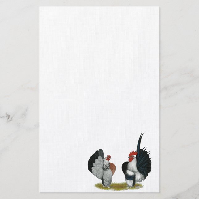 Serama Bantams Brevpapper (Framsida)