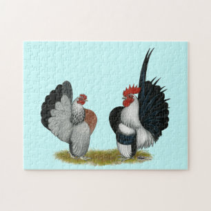Serama Bantams Pussel