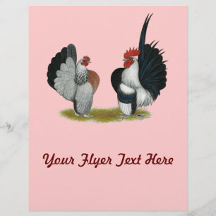 Serama Bantams Reklamblad
