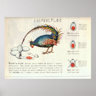 Seraphinianus codex poster