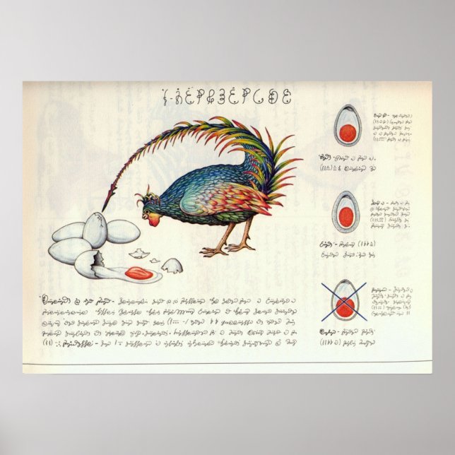 Seraphinianus codex poster (Framsidan)