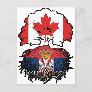 Serbiska kanadensiska kanadensiska Träd Roots Flag Vykort