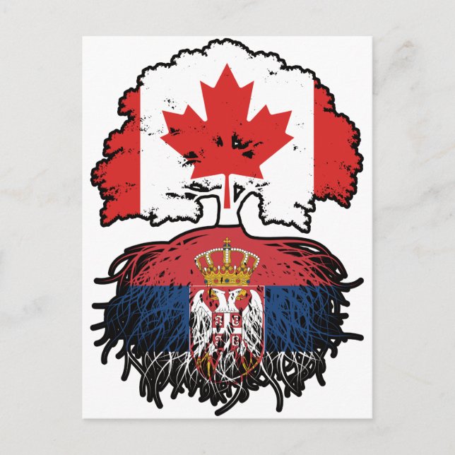 Serbiska kanadensiska kanadensiska Träd Roots Flag Vykort (Framsida)