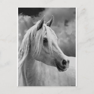 SERE-sammansättning Vykort