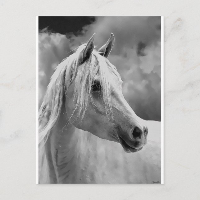 SERE-sammansättning Vykort (Framsida)