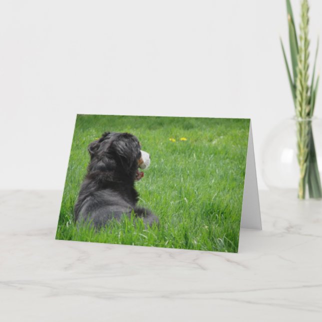 Serena i Sol Kort (Framsida)