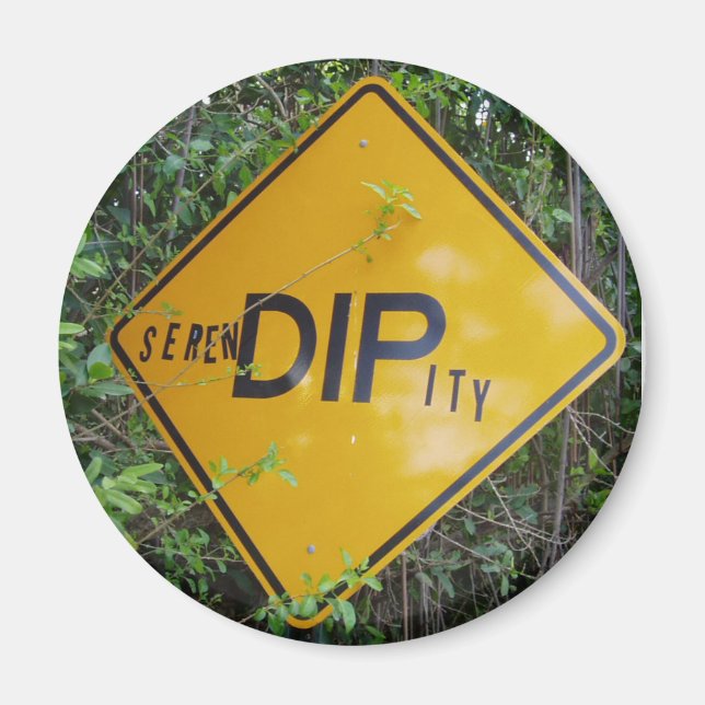 Serendipity Magnet (Framsidan)