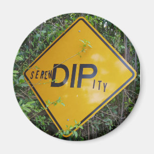 Serendipitymagnet Magnet