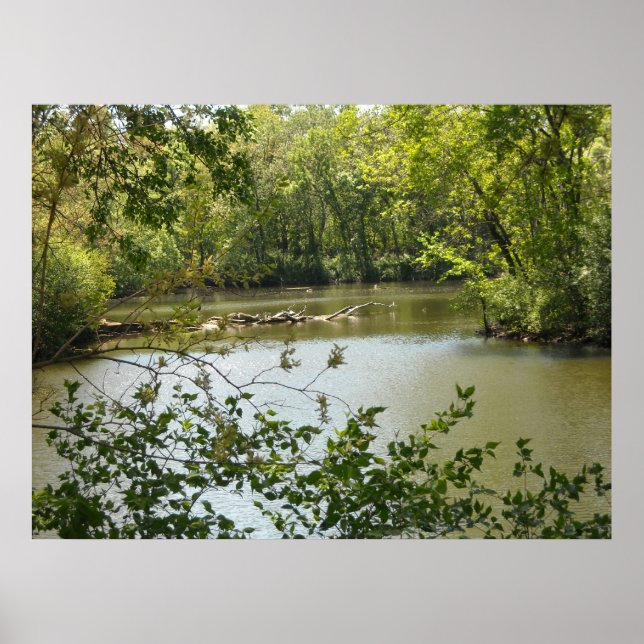 Serene 2 poster (Framsidan)