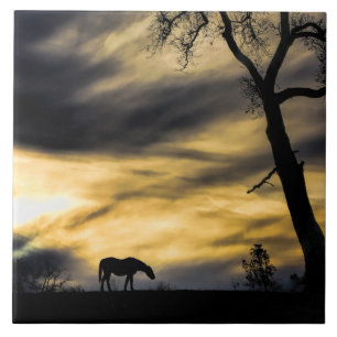 Serene and Surreal Horse in Storm Art Tile Kakelplatta