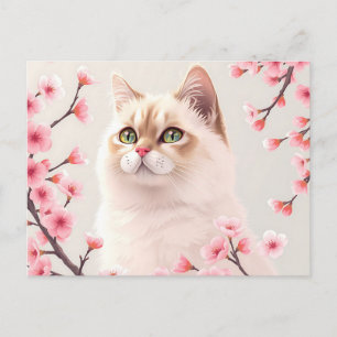 Serene Birman Cat Porträtt med Cherry Blommars Vykort
