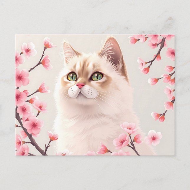 Serene Birman Cat Porträtt med Cherry Blommars Vykort (Framsida)