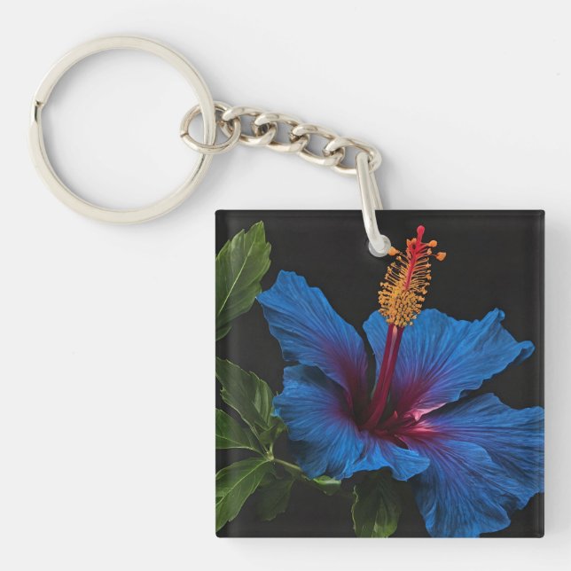 "Serene Bloom: Beauty of Blue Hibiscus Flowers (Framsidan)