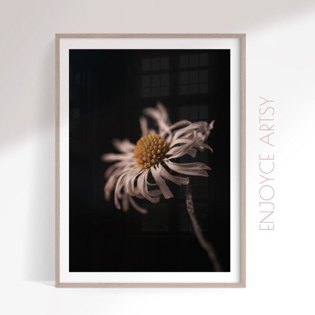 Serene daisy blomma fortfarande livets fotoväggkon poster (Skapare uppladdad)