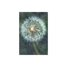 Serene Dandelion Canvas Art - tidslös naturskyddsi