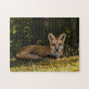 Serene Fox Pussel