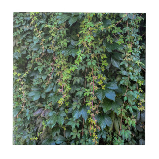 Serene Grönt Ivy Wall Hanging Vines Plant Löv Kakelplatta