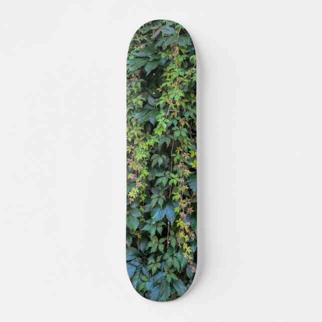 Serene Grönt Ivy Wall Hanging Vines Plant Löv Mini Skateboard Bräda 18,5 Cm (Framsida)
