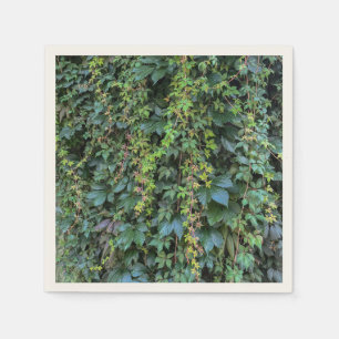 Serene Grönt Ivy Wall Hanging Vines Plant Löv Pappersservett
