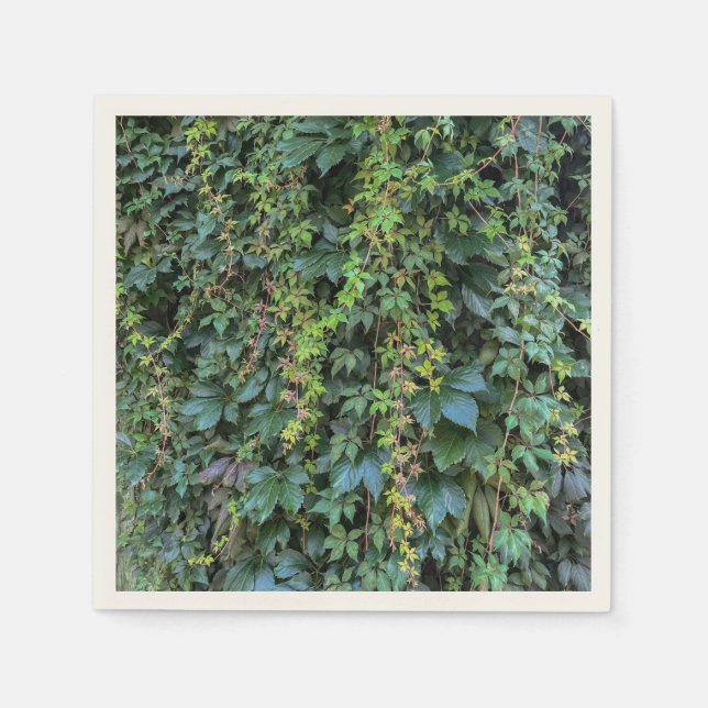 Serene Grönt Ivy Wall Hanging Vines Plant Löv Pappersservett (Framsidan)