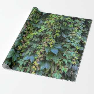 Serene Grönt Ivy Wall Hanging Vines Plant Löv Presentpapper