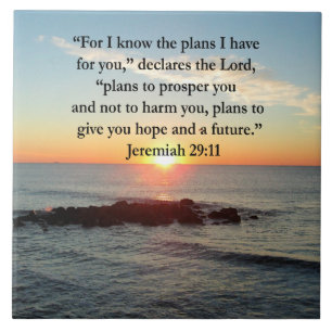 SERENE JEREMIAH 29:11 SUNRISE KAKELPLATTA