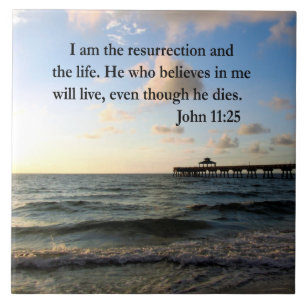 SERENE JOHN 11:25 SCRIPTURE DESIGN KAKELPLATTA