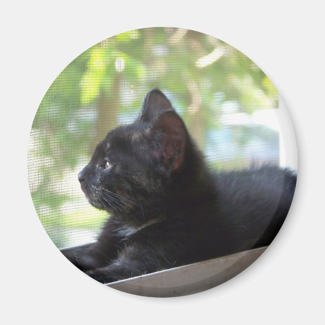 Serene Magnet (Framsidan)