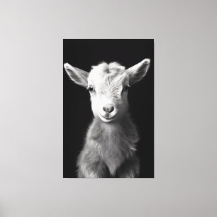 Serene Monochromatic Baby Goat Porträtt Canvastryck
