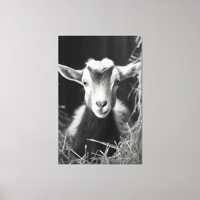 Serene monokromatisk konstnärlig Baby Goat Porträt Canvastryck (Framsida)