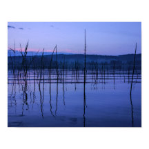 Serene och misty sjö efter kraftiga regn