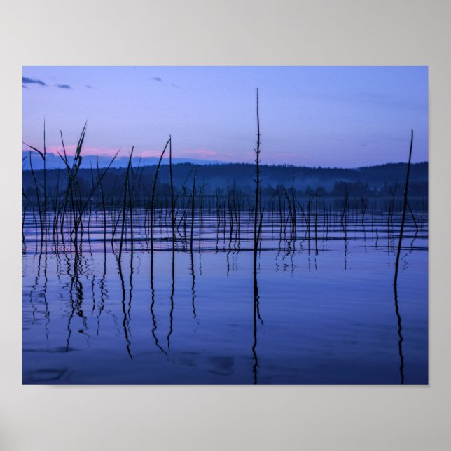 Serene och misty sjö efter kraftiga regn poster (Framsidan)