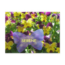 Serene Pansy-vykort