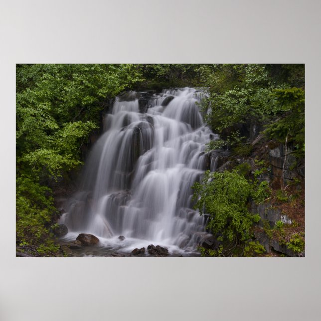 Serene Poster (Framsidan)