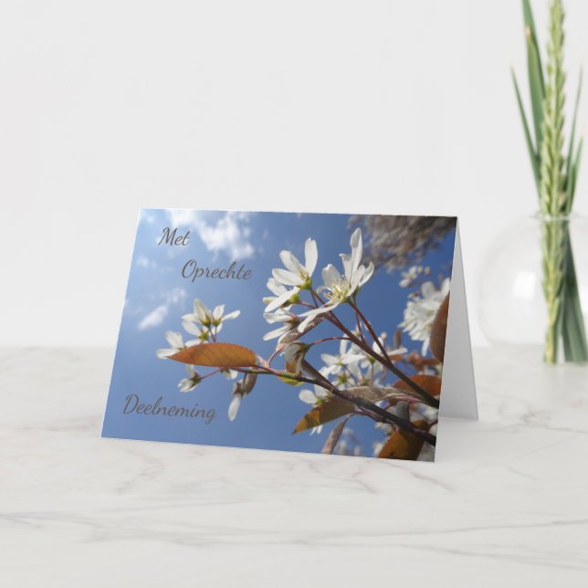 Serene Raisin Blommar Sympathy Dutch Greeting Card Kort (Framsida)